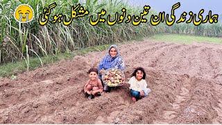 Hamari Zindagi En 3 Dinoun Main Mushkal Ho Gai I Village Woman Farmer