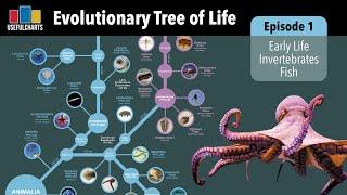 Evolutionary Tree of Life | Episode 1 - Early Life, Invertebrates & Fish