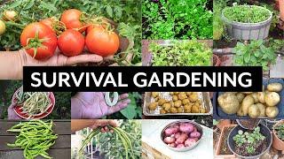 Survival Gardening - Top 5 Vegetables to grow in your garden in an apocalypse or crisis