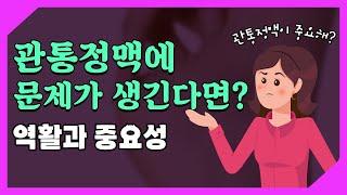 관통정맥의 판막에 문제가 발생된다면?(관통정맥의 역할과 중요성)