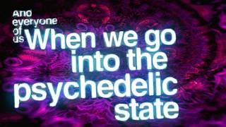 Terence McKenna | The Psychedelic Mission | McKennaCountrCulture | Infinity Mix