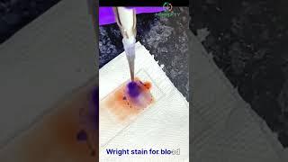 Wright stain for blood#youtubeshorts #hereditybioacademy #instagram