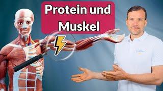 Protein für Muskelaufbau: Verstehe die Hintergründe!