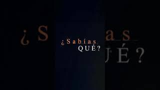 Sabías qué son los estatutos del SUTERM?