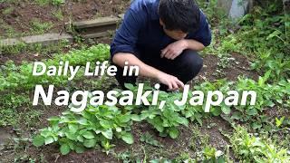 Life in Nagasaki, Japan / Living in a Traditional House / Going Out for Yakiniku