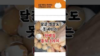 단백질 비교 달걀은 명함도 못 내밀어요. #단백질 #단백질섭취 #건강정보 #건강상식 #음식