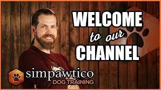 Welcome to the Simpawtico Dog Training YouTube Channel!