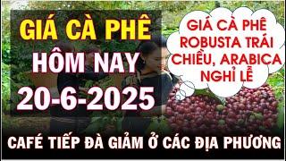Giá cà phê hôm nay ngày 20/6/2025|Giá cà phê sụt giảm hướng mốc 100k