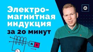 Электромагнитная индукция. ЕГЭ Физика. Николай Ньютон