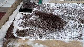 Scraping dirty water of plain rug. deeply satisfying.