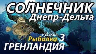 Солнечник Днепр Дельта / РР3 [ Русская Рыбалка 3,9 Гренландия ]