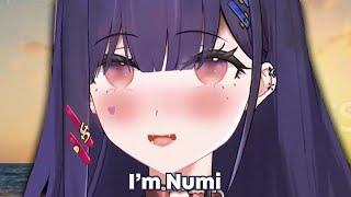An Introduction to Akuma Nihmune