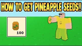 How to GET PINEAPPLE SEEDS!! (Roblox islands)