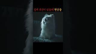 집에 귀신이 있을때 현상들 #무서운이야기 #공포 #미스터리 #괴담 #귀신