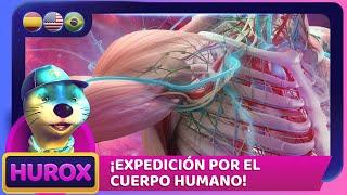 ¡Viaje por el cuerpo humano! 