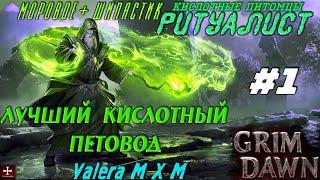 Ритуалист лучший кислотный петовод #1, быстрый старт, патч 1.1.9.5, Grim Dawn