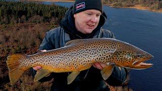 My First Ferox Trout