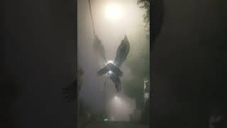 Serephim Angel Simulation | ANIMATION #shorts