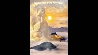 Đức Phật dạy con người đừng có tham lam