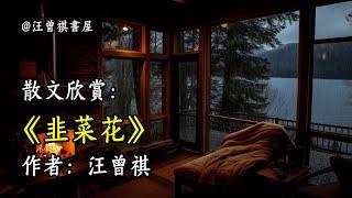 經典散文欣賞《韭菜花》作者：汪曾祺 #文學 #讀書 #閱讀 #asmr #曆史 #故事 #工作氛圍 #有聲書 #學習氛圍