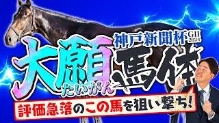 【神戸新聞杯 2024】中京芝2200mは長距離系が走りやすい舞台！妙味大＆成長感じる素質馬で一発狙い！体診断・フォトパドック【競馬予想】