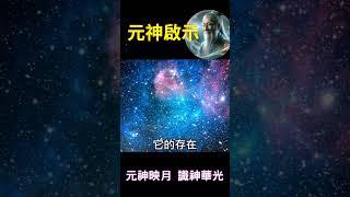 元神啟示：元神映月，識神華光