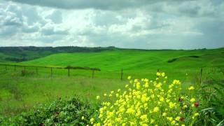 Los campos
