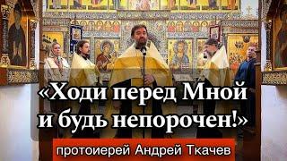 Когда люди пренебрегают Богом.. Протоиерей Андрей Ткачёв