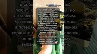 Любовь ️ #картытаро #таро #узнатьсудьбу #эзотерика #таролог #гадание