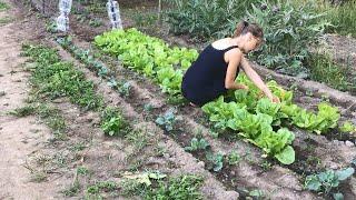 Village Life in Italy. Cooking Village Food