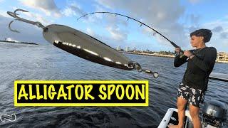 $7 ALLIGATOR SPOON CATCHES TONS OF JACKS AND BLUEFISH