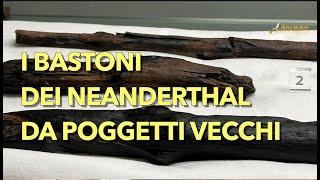 Preistoria, i bastoni dei Neanderthal per la prima volta in mostra da Poggetti Vecchi a Firenze