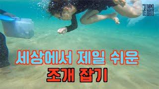 화진포 해수욕장 - 세상에서 제일 쉬운 조개 잡기 :: 가족여행