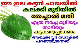 Natural Hair Dye || ഈ ഇല ഉണ്ടെങ്കിൽ എത്ര നരച്ച മുടിയും താടിയും കട്ടക്കറുപ്പാക്കാം