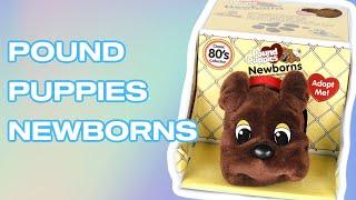 Pound Puppies Newborns #Shorts