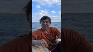 если ты будешь делать так каждую субботу #стресс покинет тебя #2024 #созерцание