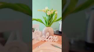 Productie video - Plazza Mamaia Nord - Apartamente de inchiriat la mare