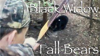 Black Widow Bows Fall Bear Hunt!