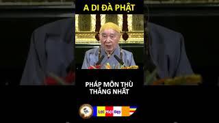 PHÁP MÔN THÙ THẮNG NHẤT | Pháp Sư Tịnh Không | Phật Pháp Nhiệm Màu