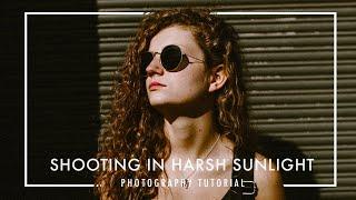 3 TIPS for TAKING PHOTOS IN BRIGHT SUNLIGHT 