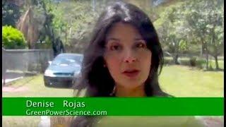 Solar Cooking Fish Fry Fresnel Lens Free Energy from the sun