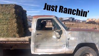 What Ranching is REALLY like | NOT all YEE Haw️