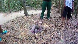 Vietnam 2016 - Biketrip (FullHD)