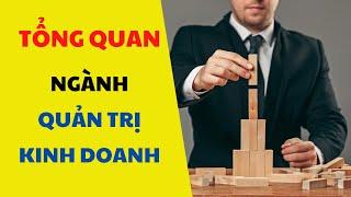 #3 - TỔNG QUAN NGÀNH QUẢN TRỊ KINH DOANH (Tìm hiểu về ngành học)