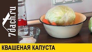 Квашеная капуста: простой способ без перетирания - 7 дач