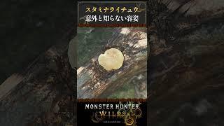 【モンハンワイルズ】ハンターこれ食ってんの？？【Steam版】#モンハンワイルズ #スタミナライチュウ  #shorts