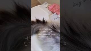 시선이 머무는 파인베이 신상수영복 리뷰 4/25 만나요