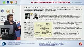 Вовк Елена Ивановна Эссенциальные фосфолипиды в лечении стеатоза печени, или Зачем нужна таргетная т