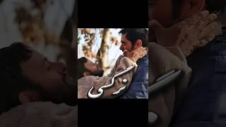 تحلیل فیلم نرگسی