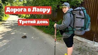 Дорога в Лавру с сыном || День третий || Пироговский лесопарк - Пушкино